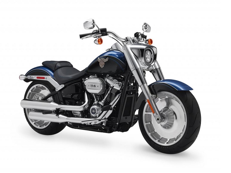 H D 2018 Softail paleta