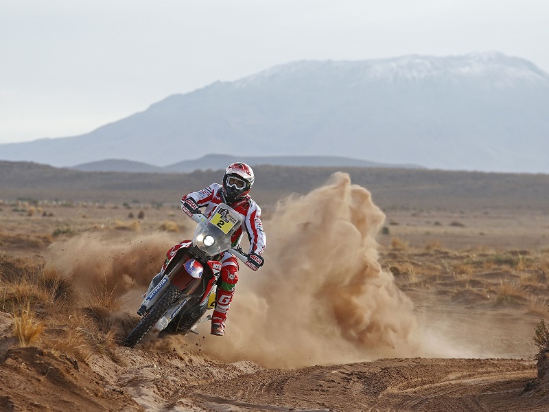dak16 goncalves 01663 dppi